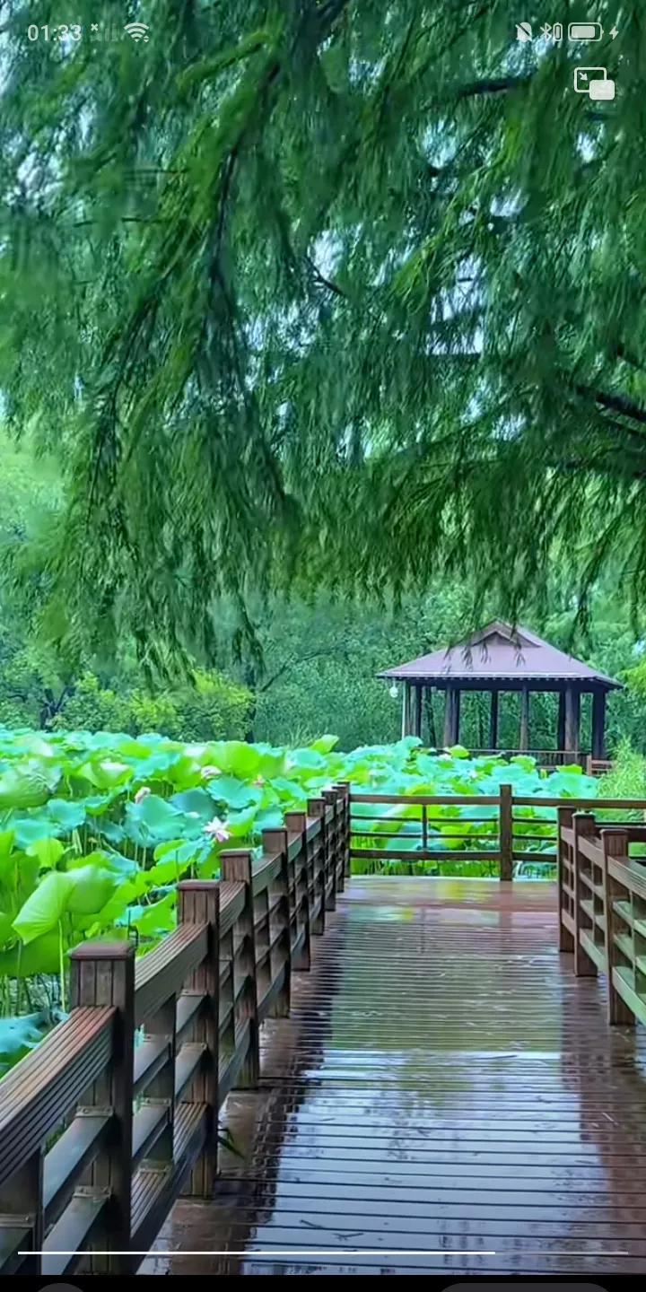 #秋日生活打卡季#[分享美景，感受大自然带来的美丽景色。]