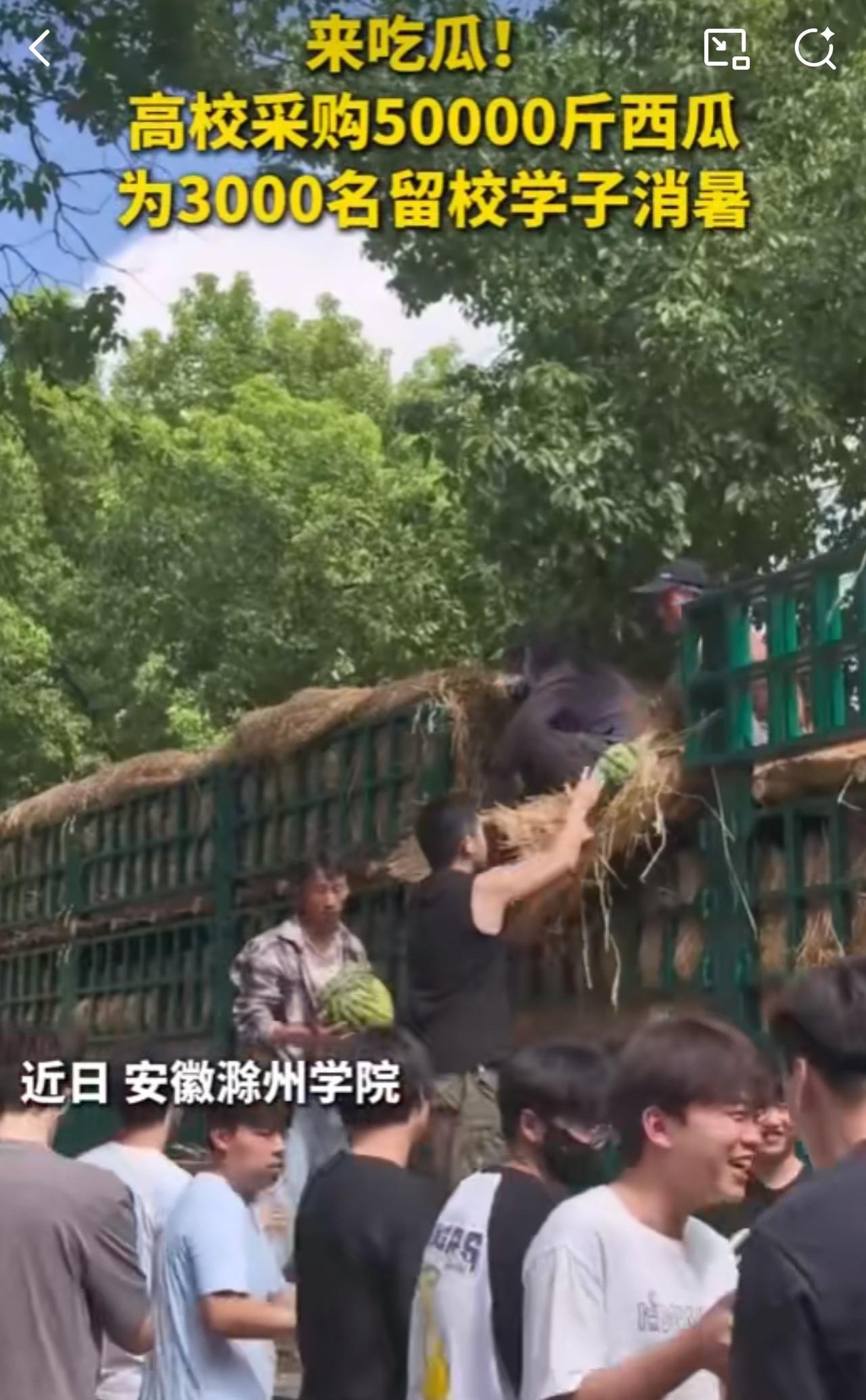 #MCN双量进阶计划#“太羡慕了！”近日，安徽滁州，一高校为3000名暑假留校学