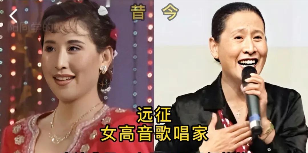11位春晚登台明星今昔，凌峰是邓丽君的男闺蜜
第1位:远征
第2位:张伟进
第3