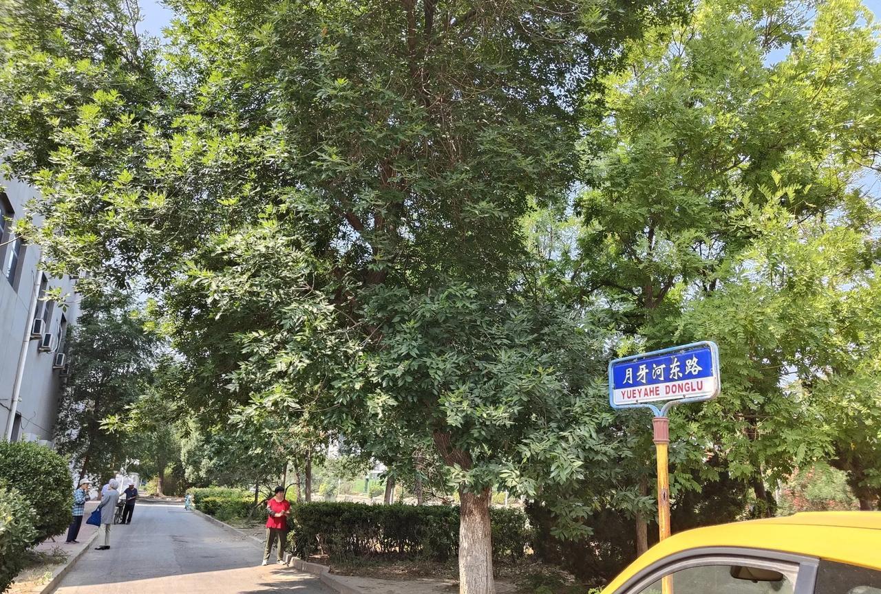 天津也有卖布头的地方，真便宜，会裁剪的大姨们可以去看看。
名字叫：万新轻纺城。挺