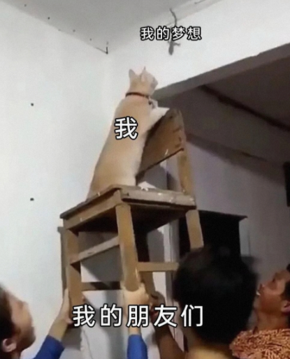 一直在实现着自己的梦想