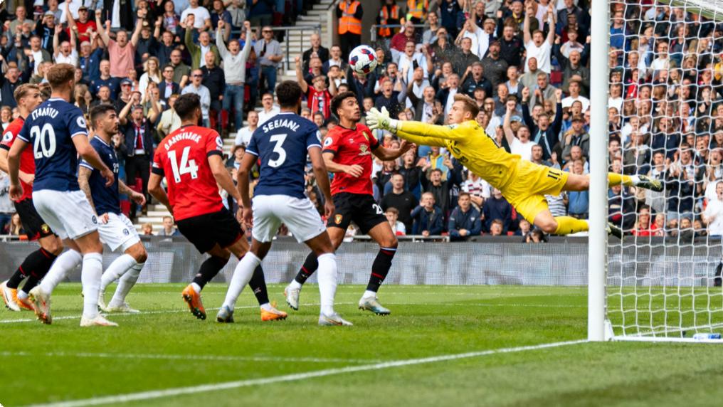 焦点大战来袭！坦山猫能否终结塞伊奈不败纪录？