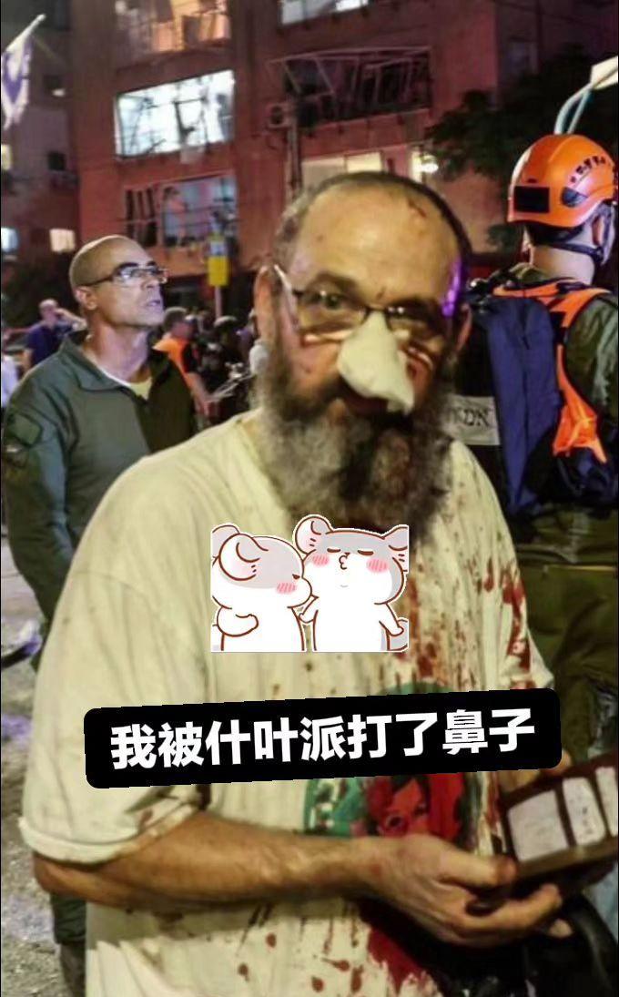 我被什叶派打了鼻子