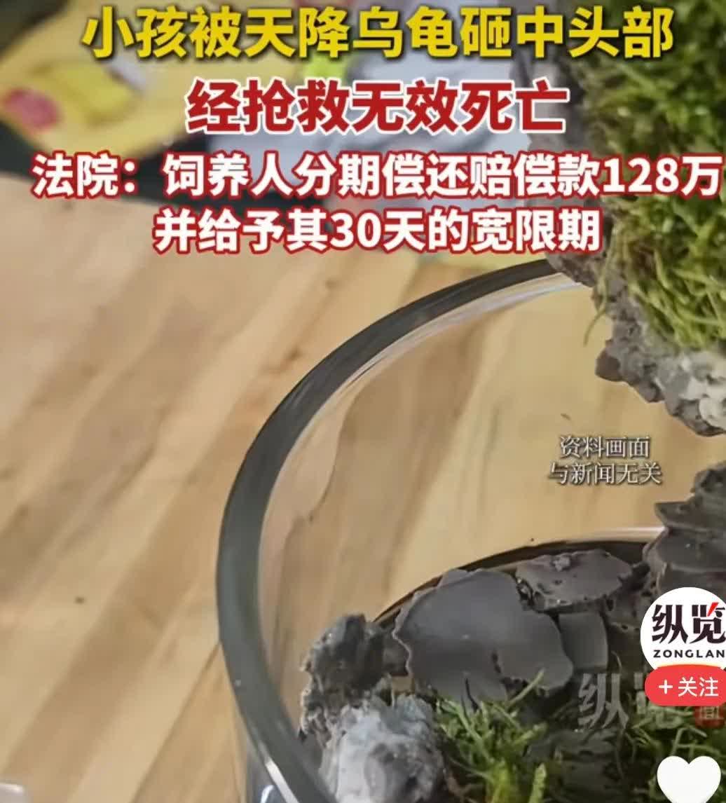 太痛心了
一条命就这样没了
赔偿再多也换不回孩子

小孩在小区好好走着，