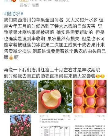 #赵露思闺蜜回应助农#当地朋友说洛川苹果又大又甜，不可能因为冰雹影响去加工果干或