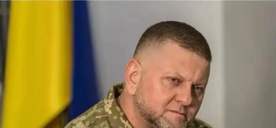 美国卖过期武器乌克兰真遭殃











美国给乌克兰的武器其实是个大坑