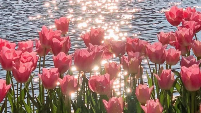 成年人的清醒，爱财爱己，风生水起