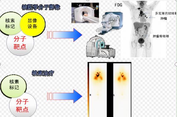 这个新方法说得天花乱坠，效果到底怎么样？让我们看看在实际测试中的表现。研究团队在