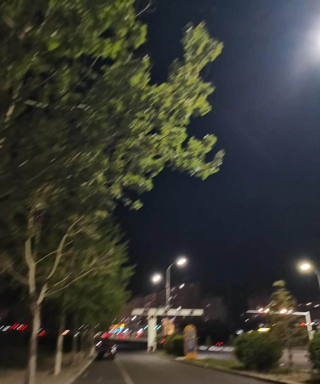 这才真像个夏天了，夏天的味道，夏天的烟火，夏天的景象。各种烧烤摊，乌烟瘴气，香味