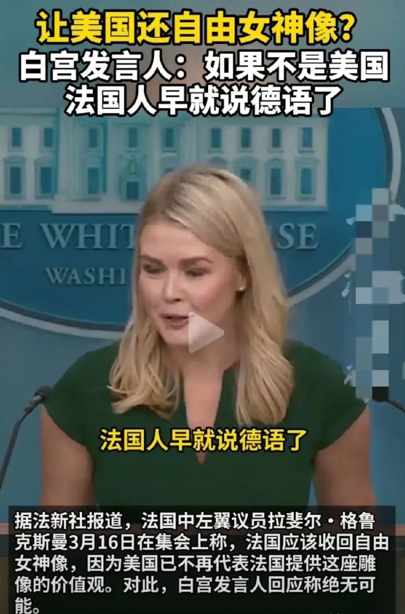 法国人气了，德国人更气，毕竟当年大半个欧州都是他们的，这个美国发言人长得美，还爱