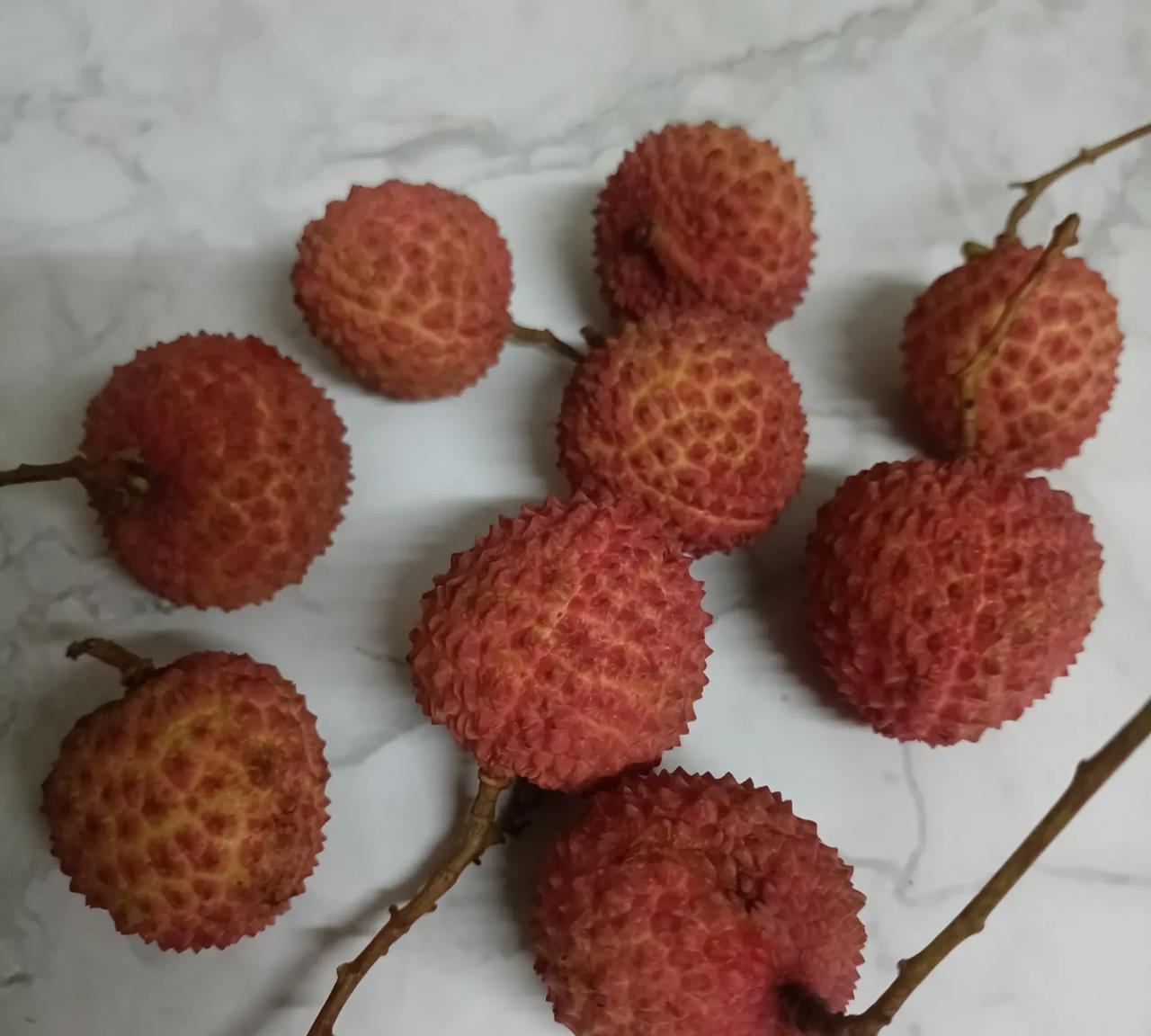 桂叶荔枝名扬天下，但很多人却不懂如何识别。桂叶好吃价高，一但买错，非但品尝不了美