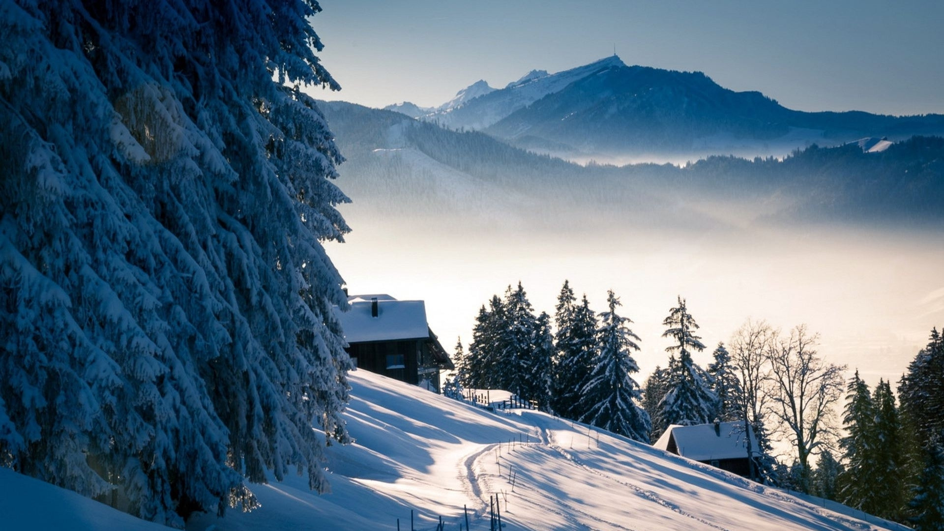 写作到发布不折腾！7 款编辑器实测