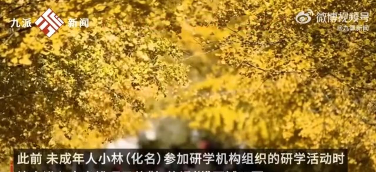 “冤不冤！”福建厦门，一男孩在参加研学机构的外出活动时，擅自跑到了一处“气垫滑梯
