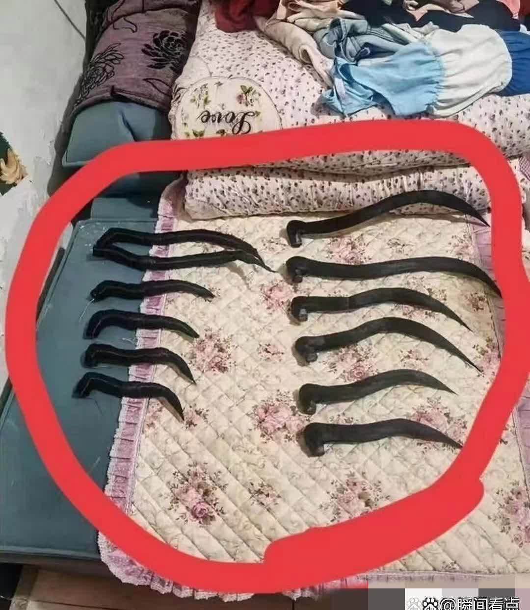 一位母亲在为女儿打扫房间的时候，拉开抽屉清理其中物品时，发现一堆奇怪的东西，一开