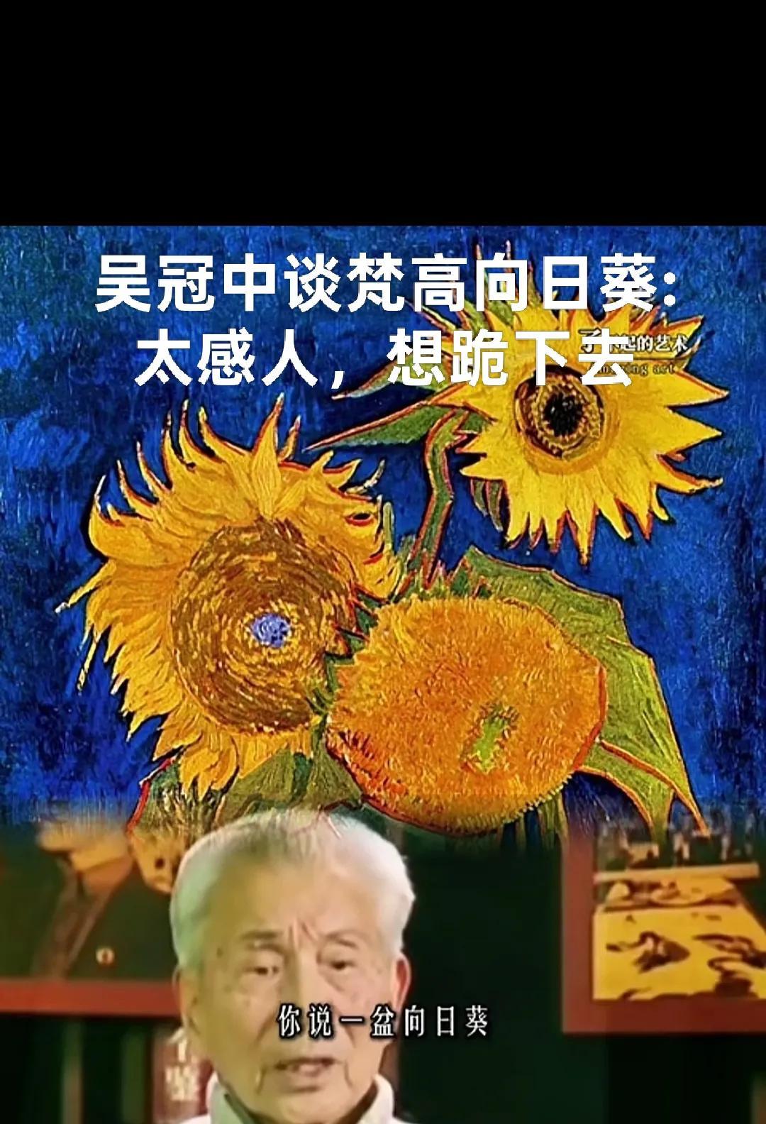 吴冠中说，他第一次见到梵高的向日葵时，感动得想跪地膜拜。
那是在伦敦的展览馆内，