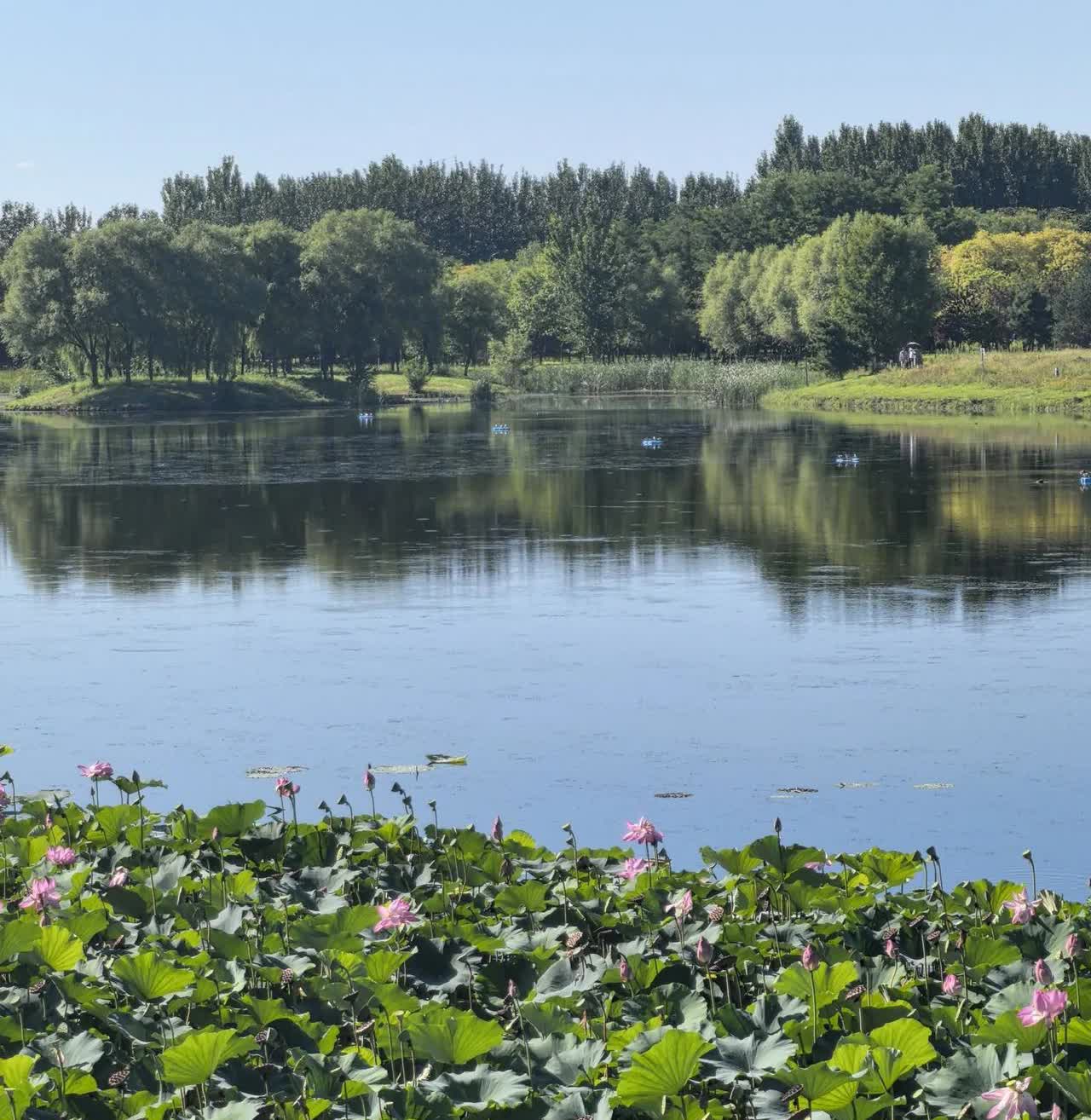 特普会应该有成果，但不要期待太高。这次特朗普和普京决定在美国阿拉斯加会面，应该说