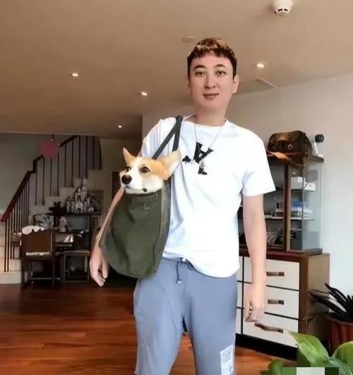 王思聪你傻啊
如果我要是你
我第一时间就应该要
回家陪父 亲啊。
王健林被爆欠下