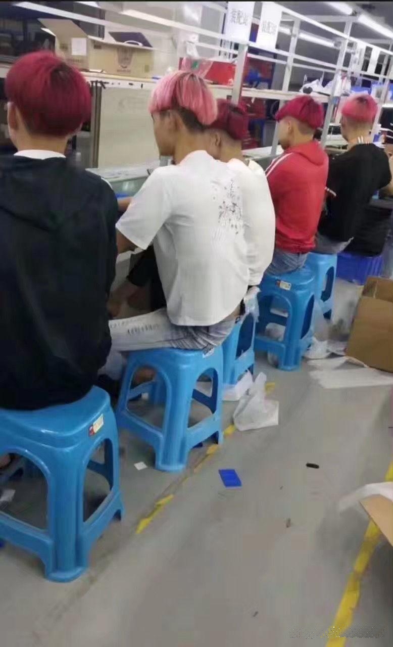 这工打的真没意思，全是红毛就算了，还是公的！