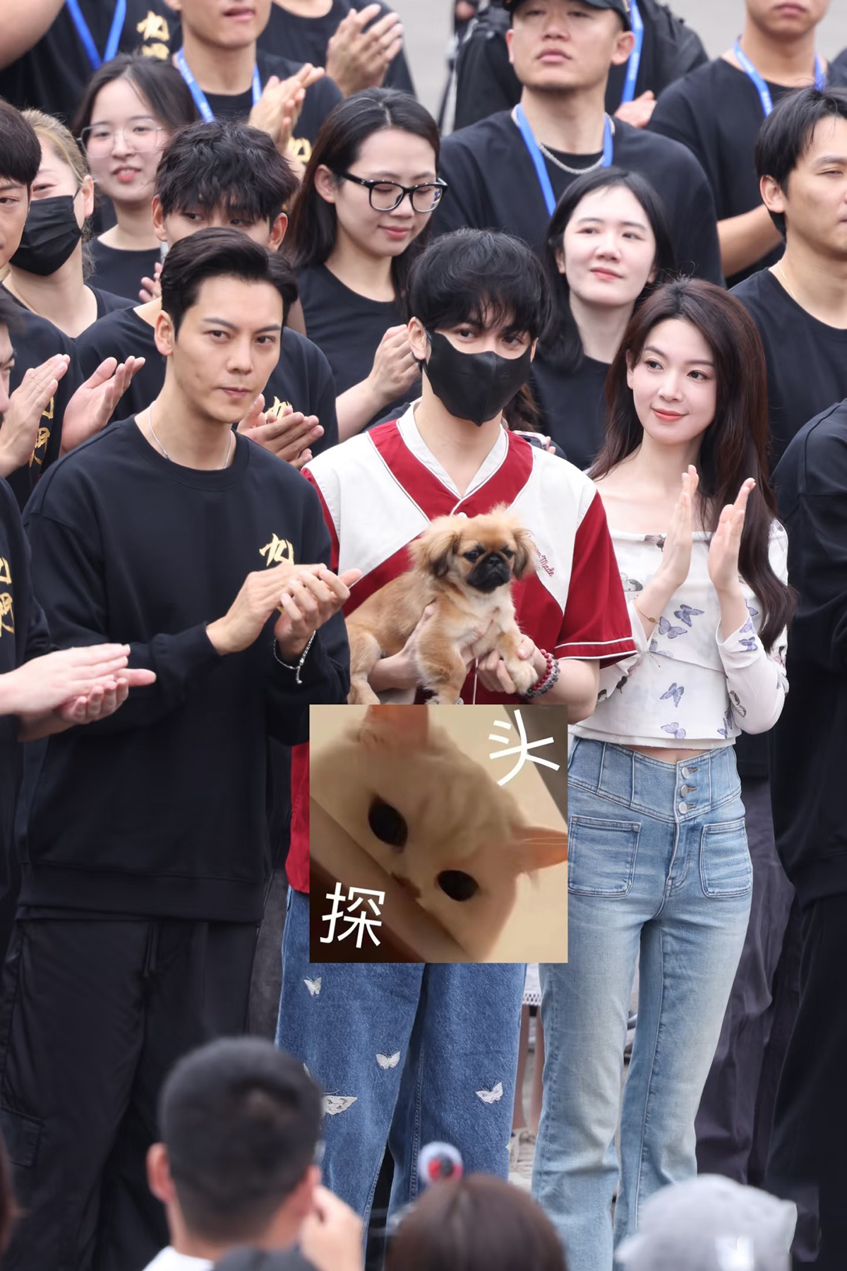 《九门》开机了，柏杉执导，原著是南派三叔。
知名导演外加大IP，流量不用愁，主要
