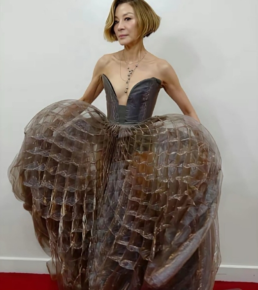 杨紫琼这套礼服不知道怎么评价，看得我想吃火锅了！ ​​​
