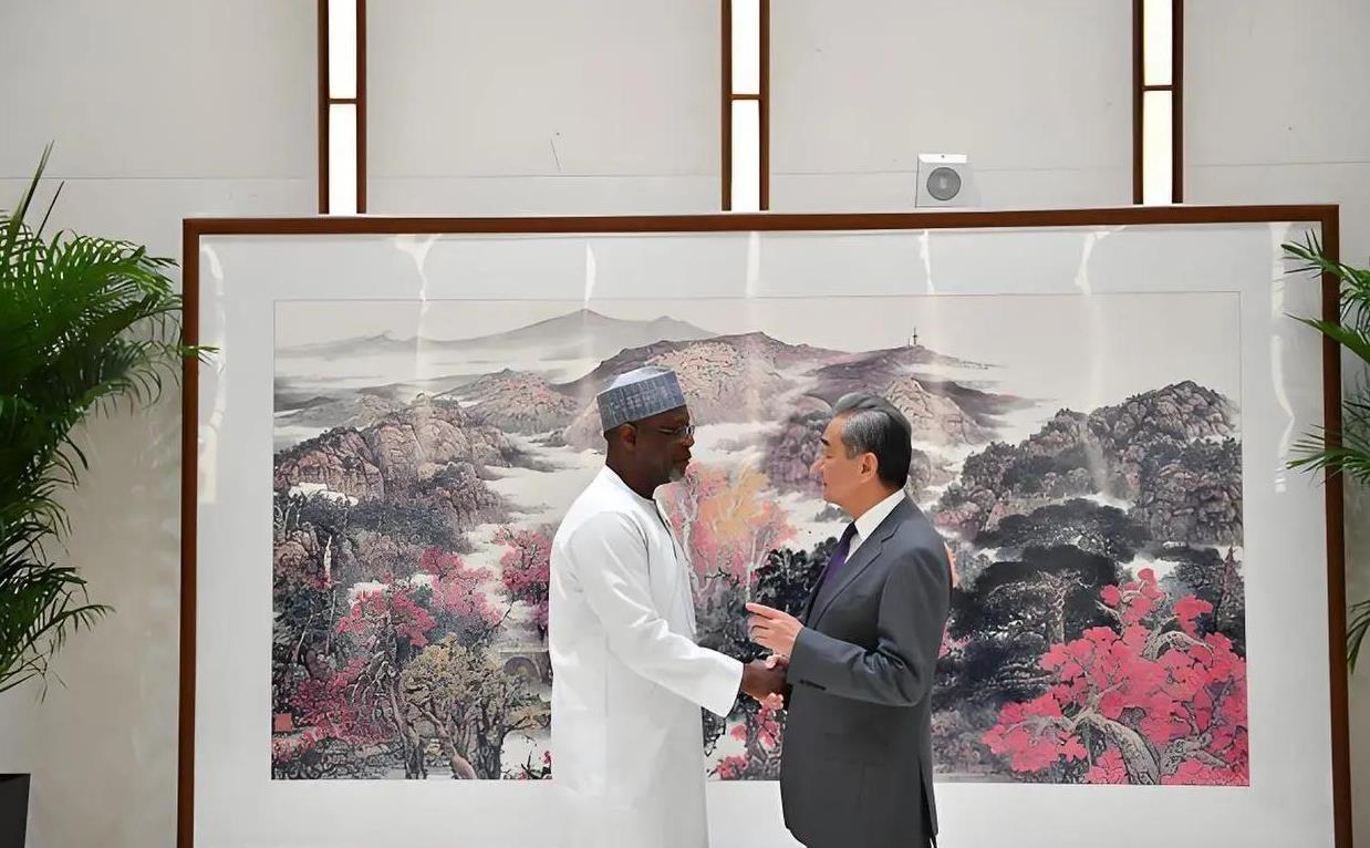 尼日尔公开抢夺中国财产，驱赶中国公民，现在自食恶果：全国大停电！外长亲自来中国认