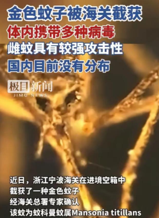 又是美国，又是病毒，这次不是实验室，是一整船“带毒蚊子”直接开到中国宁波！

美