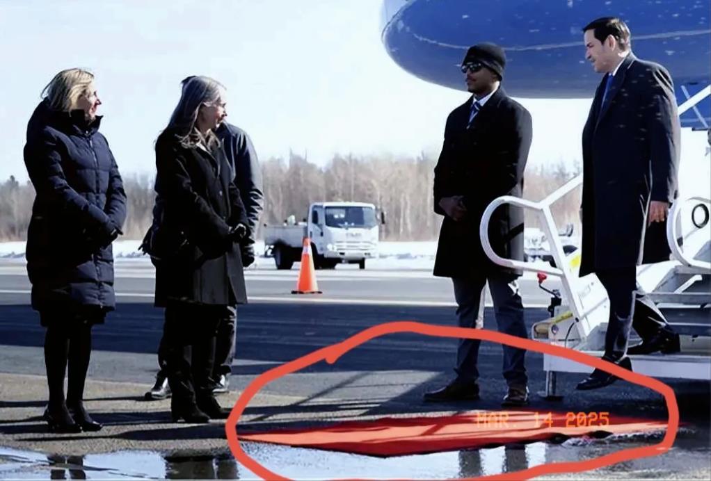 美国和加拿大的关系只剩两米不到的红地毯长度了。

3月13日，G7的几个国家外长