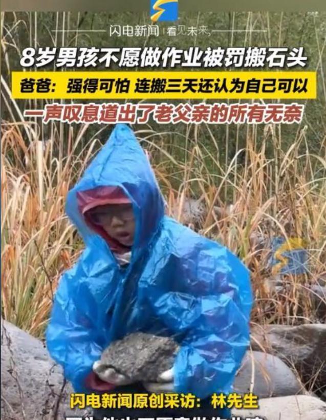 “强的可怕！”浙江，一男子本想用“搬石头”来教育8岁的儿子吃苦耐劳、懂得学习的重