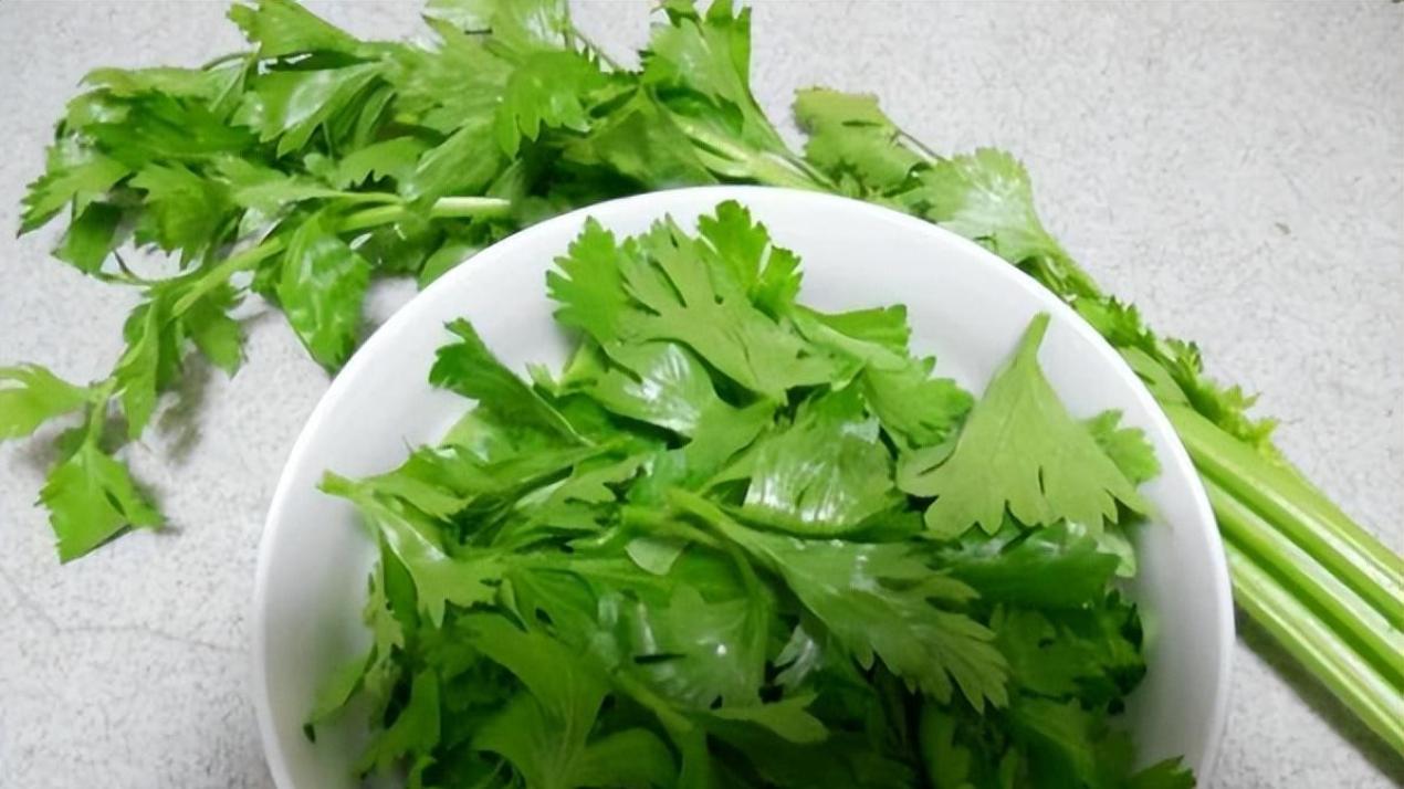 吃芹菜为什么不吃叶子？可能很多人还不清楚，看完记得转告家人