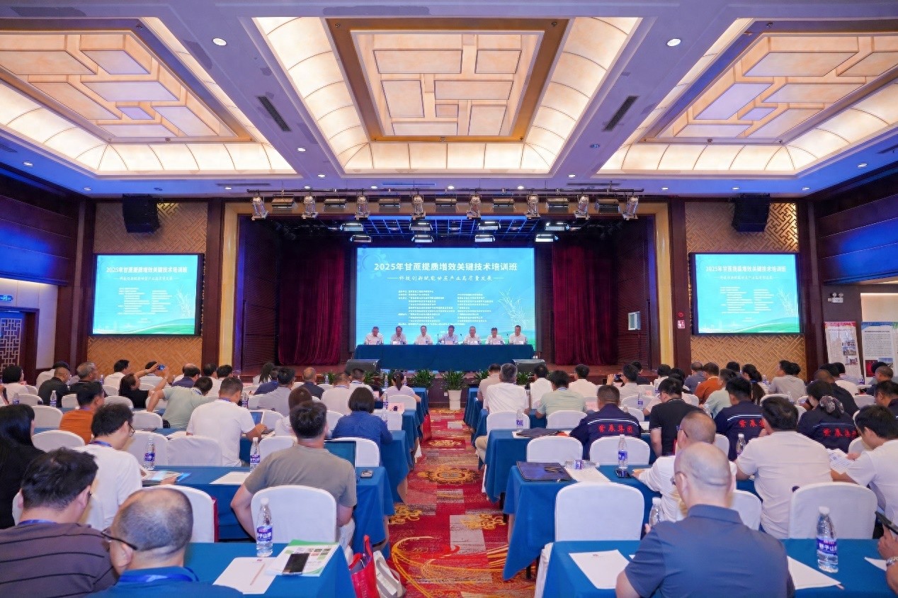 科技创新赋能端牢中国“糖罐子”