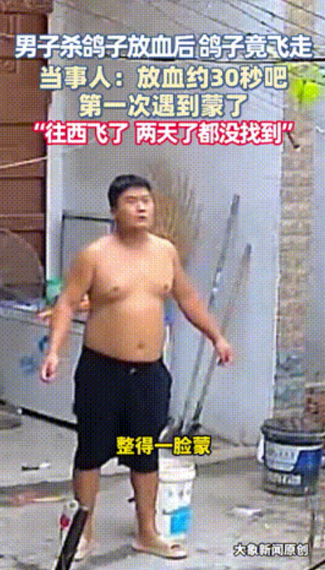 万物皆有灵性！河南开封，男子杀鸽子放血三四十秒后，鸽子竟然没死，直接往西飞走了，