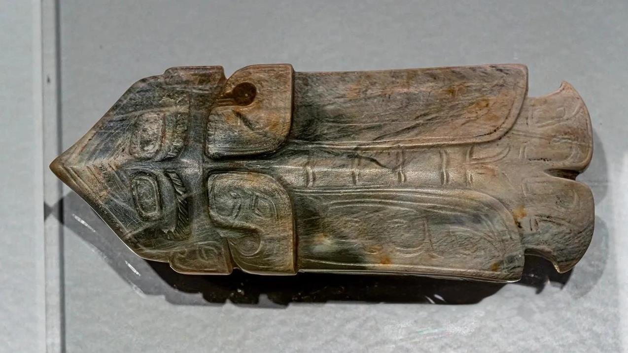 商·玉鸟
摄于：殷墟博物馆
商·玉鸟
1993年安阳新安庄M305出土
中国社会