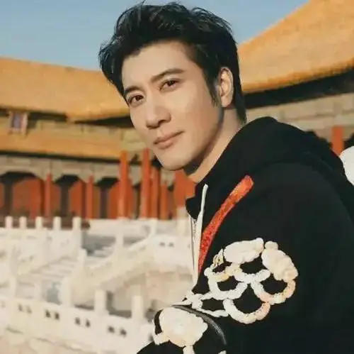 王力宏和林俊杰，谁是华语歌手现役第一人？