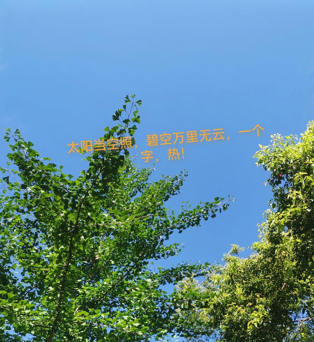 老公说婆婆今天会搭舅舅的车下来。
本不想问，但实在忍不住，我说：下来干嘛？
老公