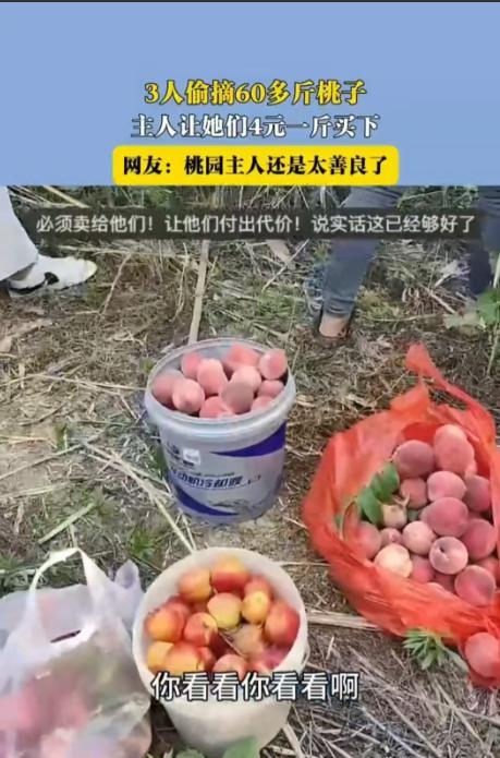 6月10日，安徽，三个人偷了女子60斤桃子，她没有报警，而是以4元1斤卖给了对方