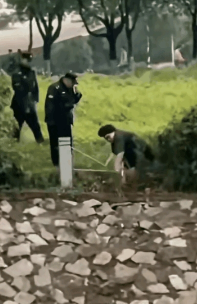 南京航大的男生现在可能正攥着道歉声明发呆。

他怎么也不会想到，

才和保安吵了