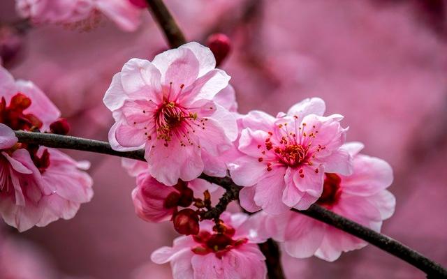 人生起伏，心态为王，治愈自我