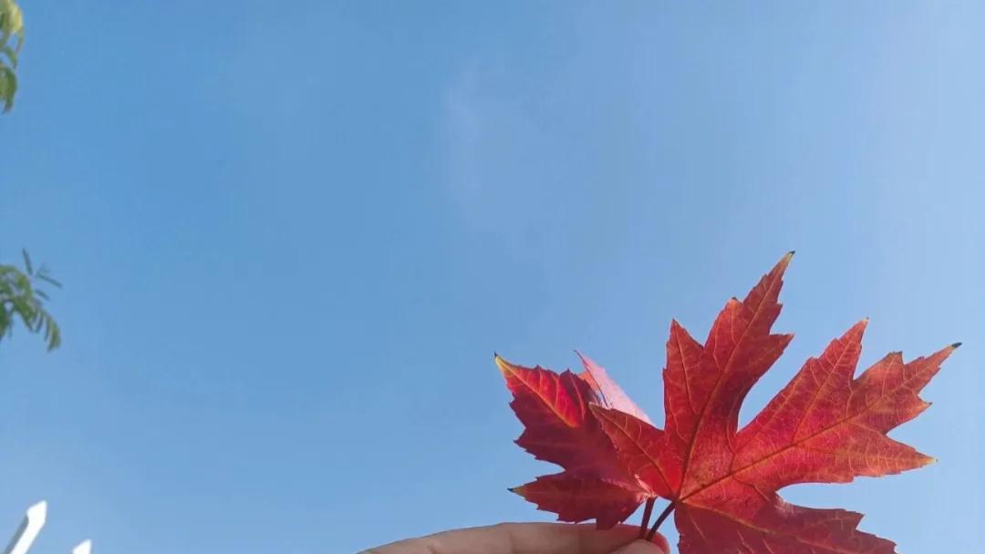 随笔：穿过昨天种种，谁不是轻舟已过万重山（四章）