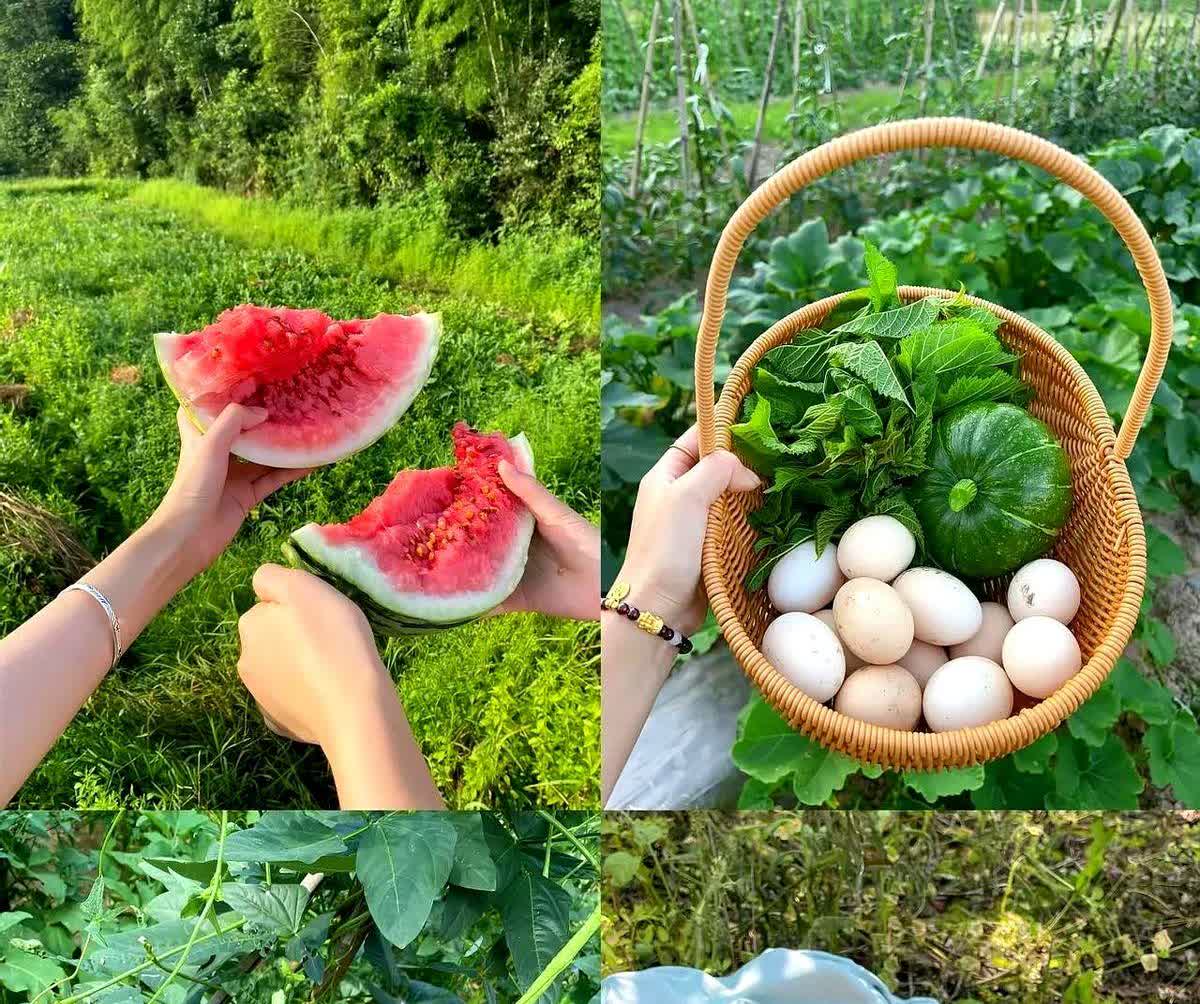 怀疑过黄圣依妈妈上节目是为了宣传；

也怀疑过是为了给黄圣依搞流量；


