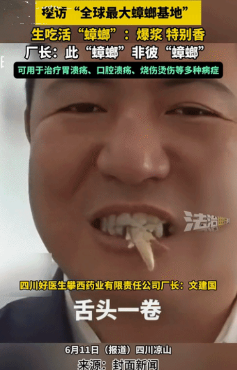 妈呀，真的长见识了，四川凉山州西昌市有一个全球最大的蟑螂养殖基地，厂长现场给大家