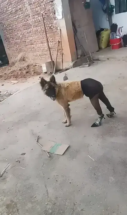 大哥，嫂子不是本地人吧？
