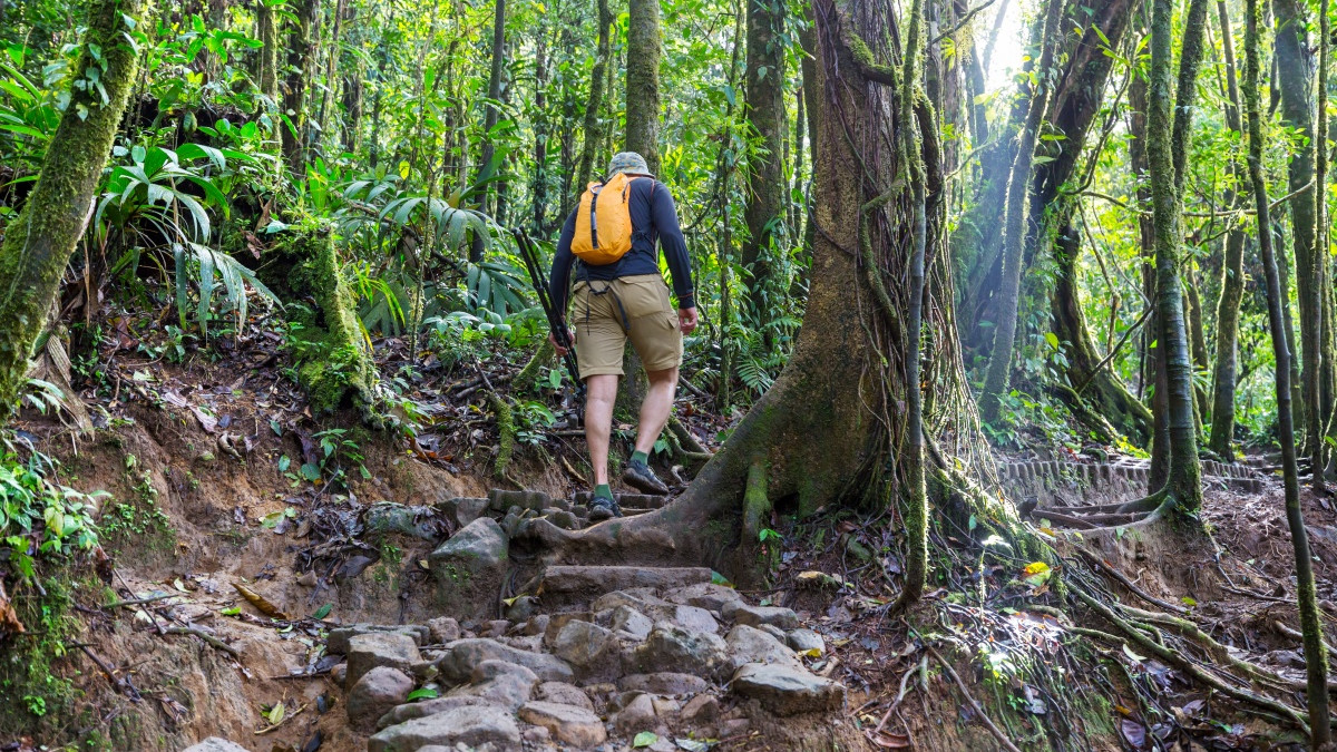 荒野求生变追剧，七星山想不火都难