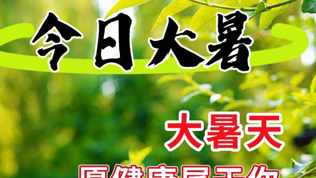 江城子·大暑吟