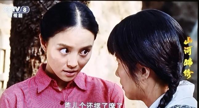 《山河锦绣》电视剧里，′半山村(娃赵)和柳家村(姓柳丿自先人起就坚持赵柳不通婚。