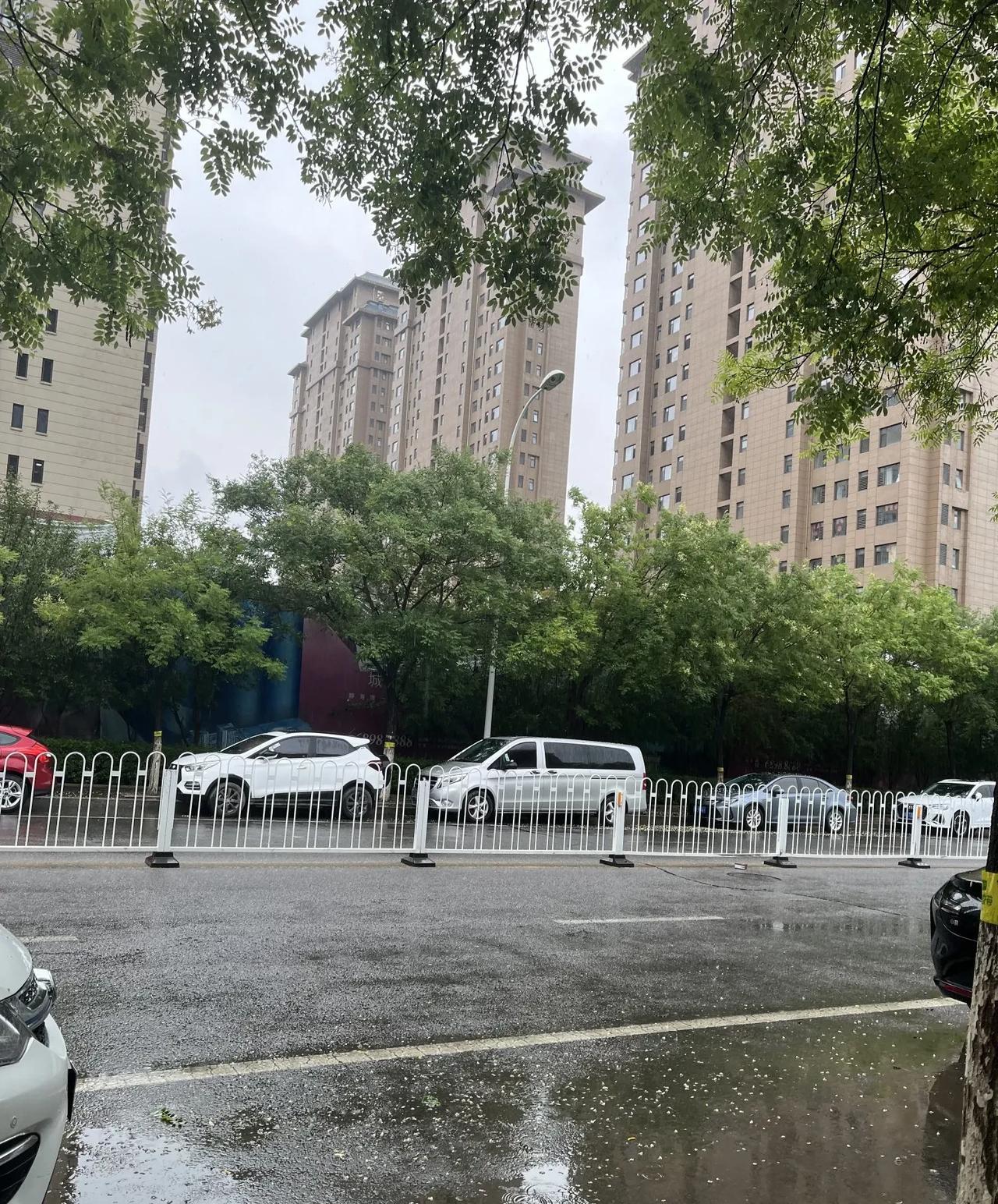 #随手拍一拍城市风景#雨天的城市街道，湿漉漉的路面映着雨滴的涟漪。路旁绿树成荫，