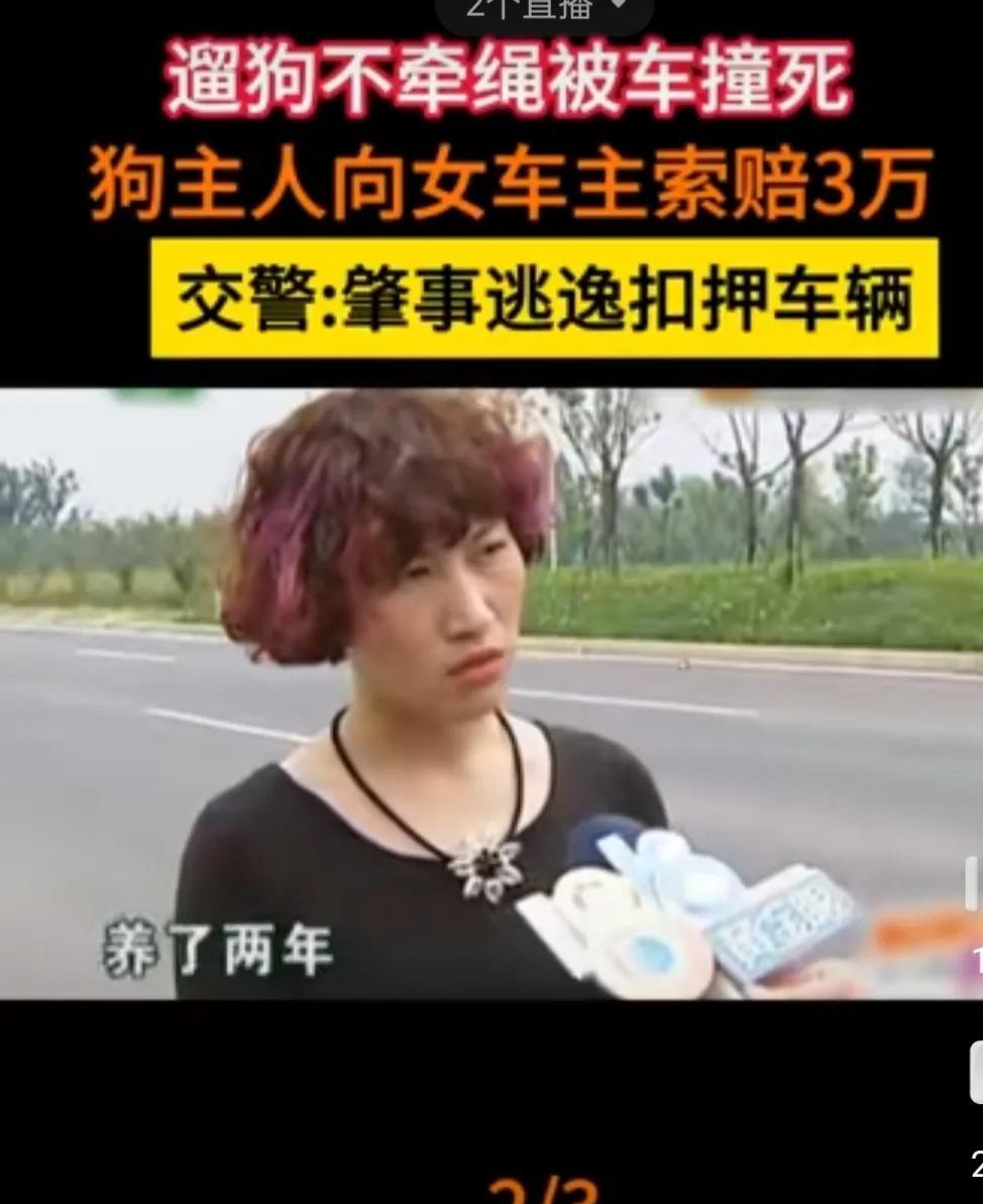 王女士开车正常行驶，突然从灌木丛中钻出一条狗，王女士来不及躲避，车辆就直接从狗的