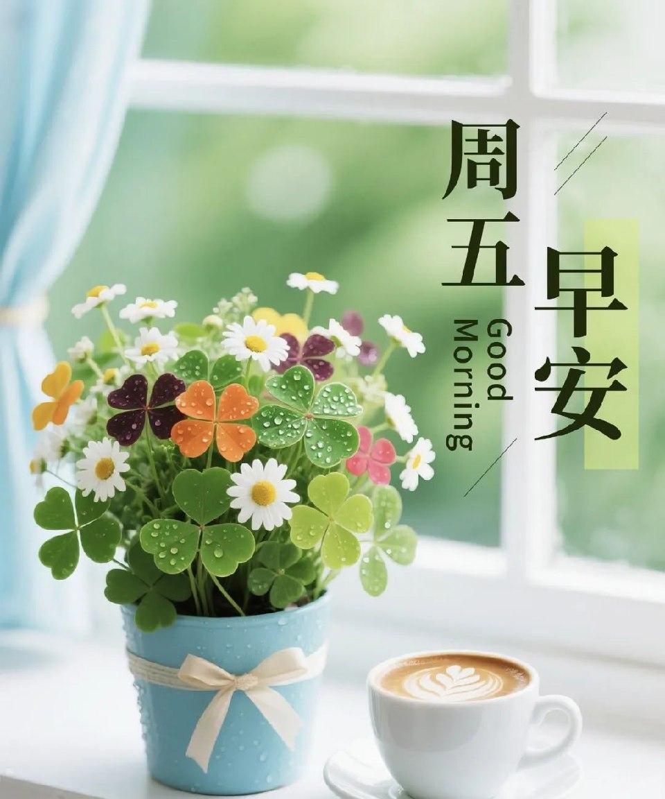 不是所有努力都要惊天动地，
平凡日子里的坚持也值得鼓掌。
周五了，
给认真了一周
