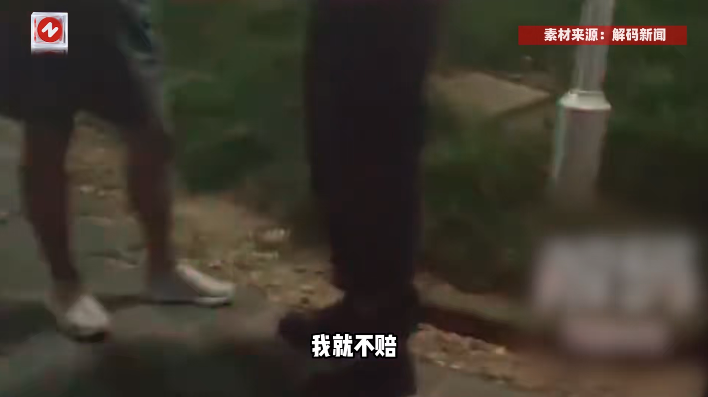 悲剧还是发生了！2025年4月，浙江杭州，一只泰迪犬被大型犬直接咬断了脖子，在医
