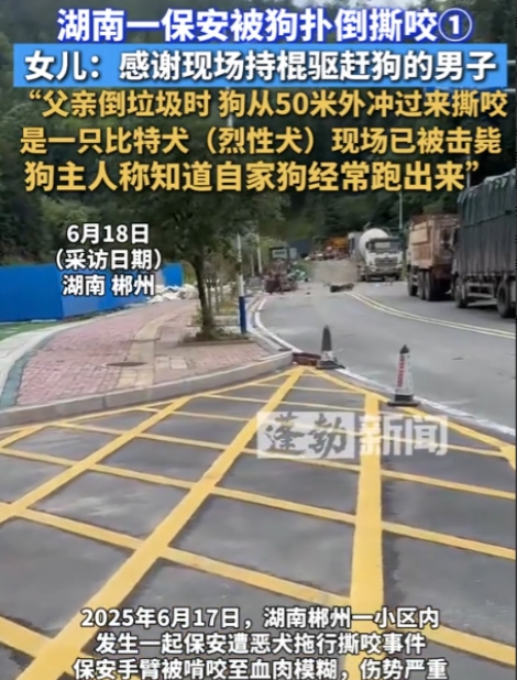 湖南，男子出去倒垃圾时，突然冲出一条大狗，将他扑倒在地撕咬，男子虽然极力反抗，奈