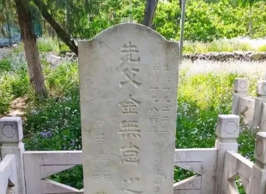 1986年，潜伏美国长达37年的王牌特工金无怠被捕，在遭受严酷审讯后，他却突然说